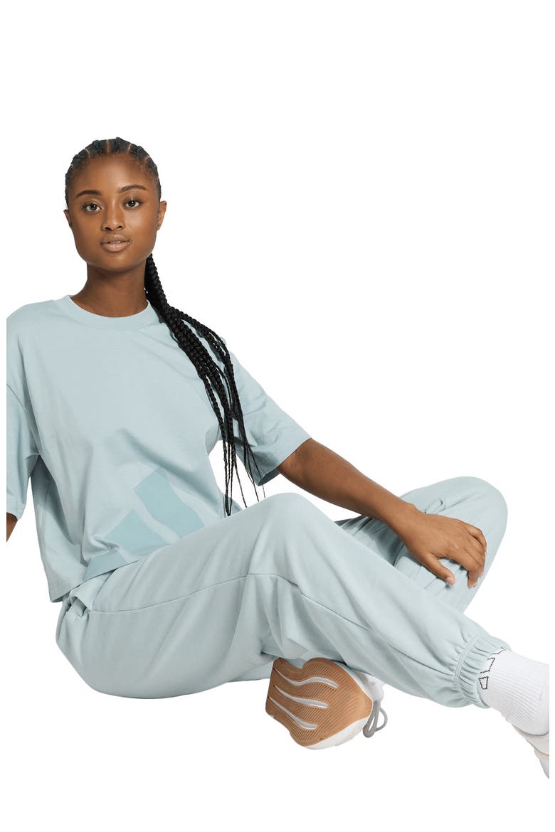 Loose Fit French Terry Joggers, Alternate, color, WONDER SAGE/ WHITE