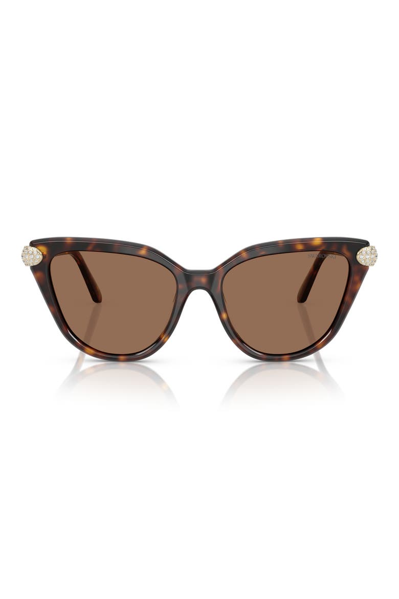 56mm Cat Eye Sunglasses, Main, color, HAVANA/ DARK BROWN