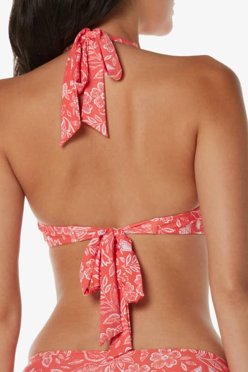 Helen Jon Tortoise Halter In Pink