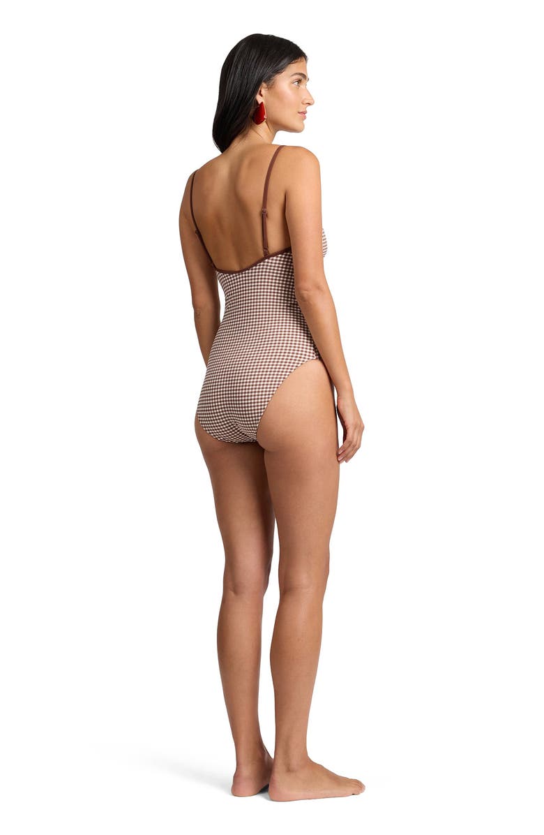 Onia Soleil Tie Front One-Piece, Alternate, color, Cappuccino/Egrt