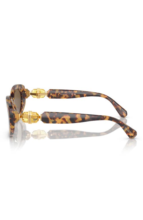 Swarovski 53mm Oval Sunglasses In Lite Havana