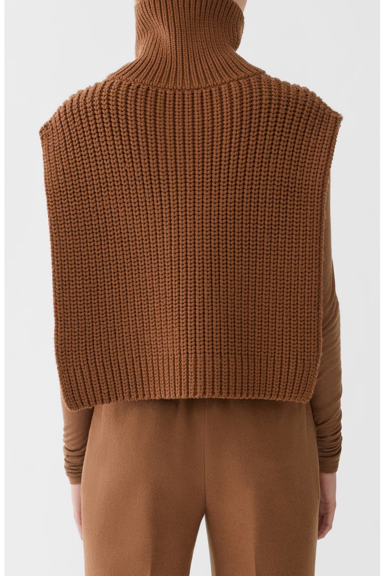 Merino Wool Button Front Dickie, Alternate, color, VICUNA