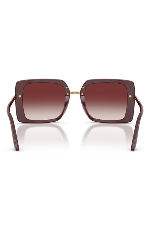 Dolce & Gabbana Dolce&gabbana 52mm Gradient Square Sunglasses In Bordeaux