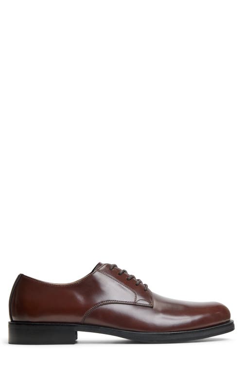 Call It Spring Donatello Derby In Cognac