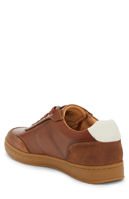 Vince Camuto Bayrd Sneaker In Tan