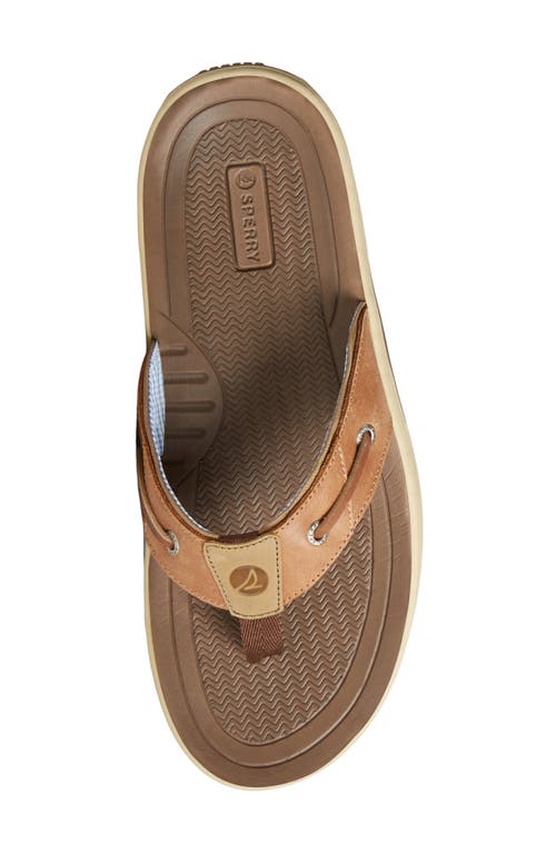 Sperry Baitfish Flip Flop In Brown