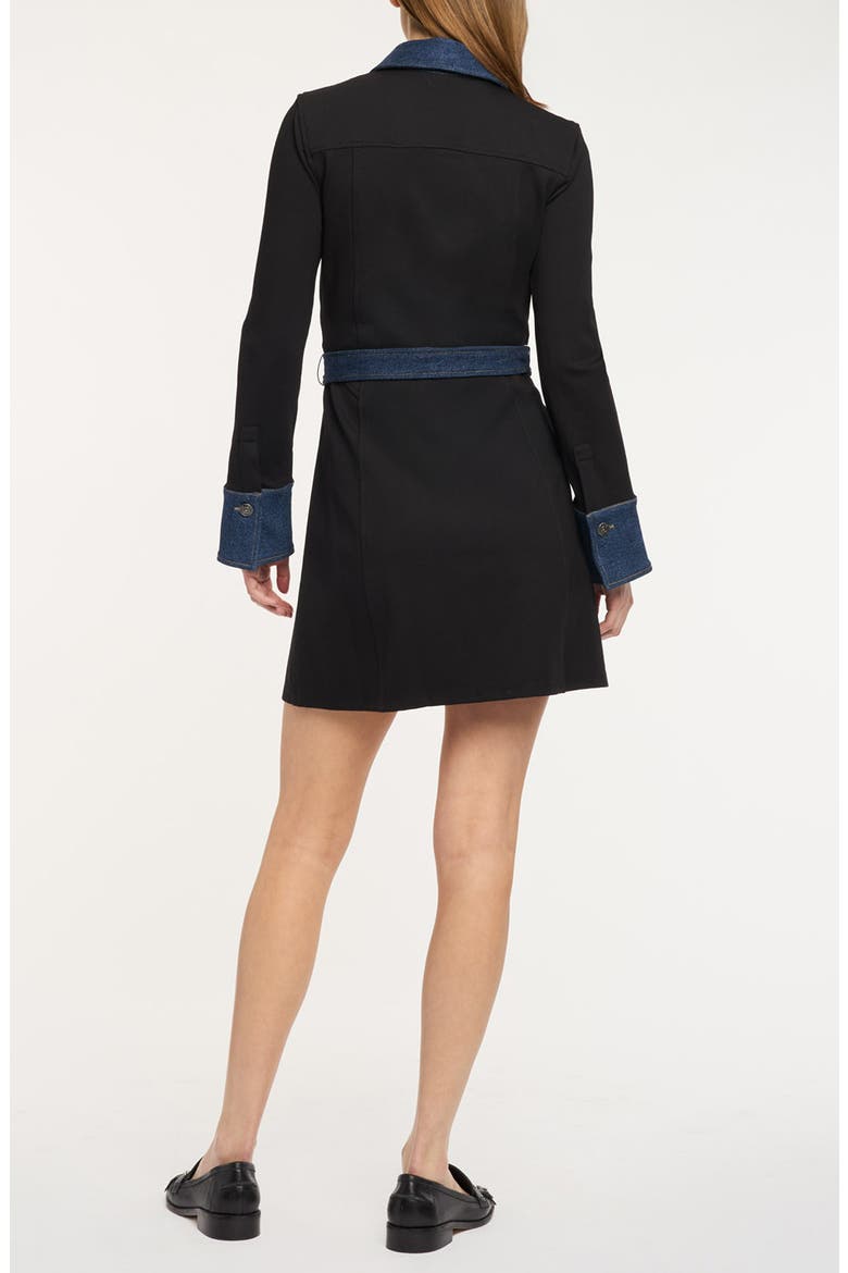 Aliza Denim Trim Long Sleeve Dress, Alternate, color, BLACK/ FONTAINE