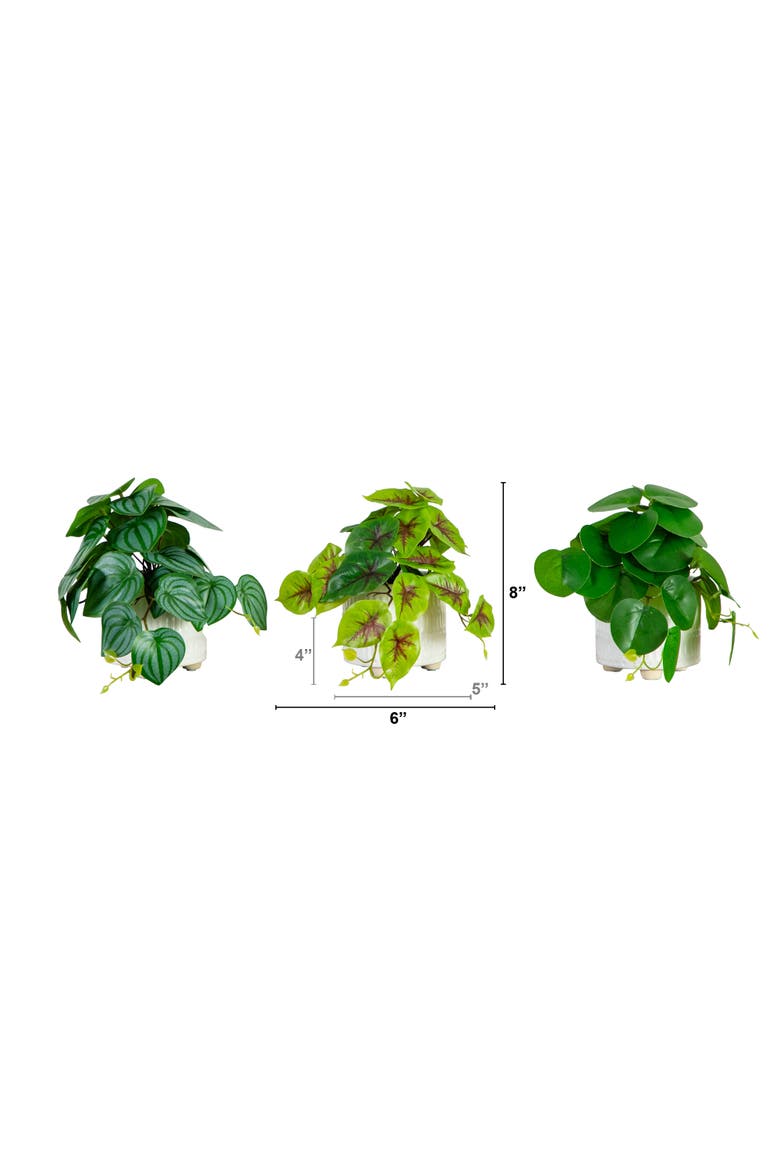 8-in Artificial Mixed Greens in Ceramic Planter- Set of 3, Alternate, color, Green