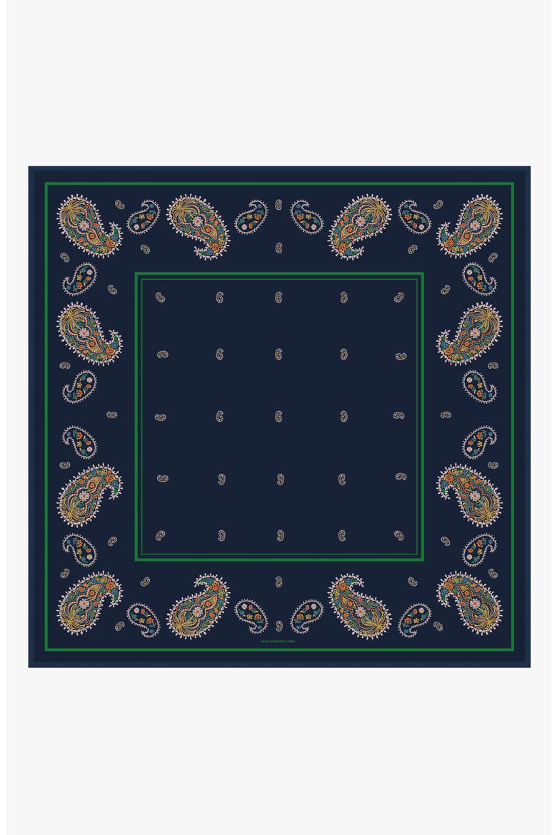 Paisley Nocturne Double Sided Silk Scarf, Main, color, Blue