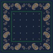 Jessie Zhao New York Paisley Nocturne Double Sided Silk Scarf