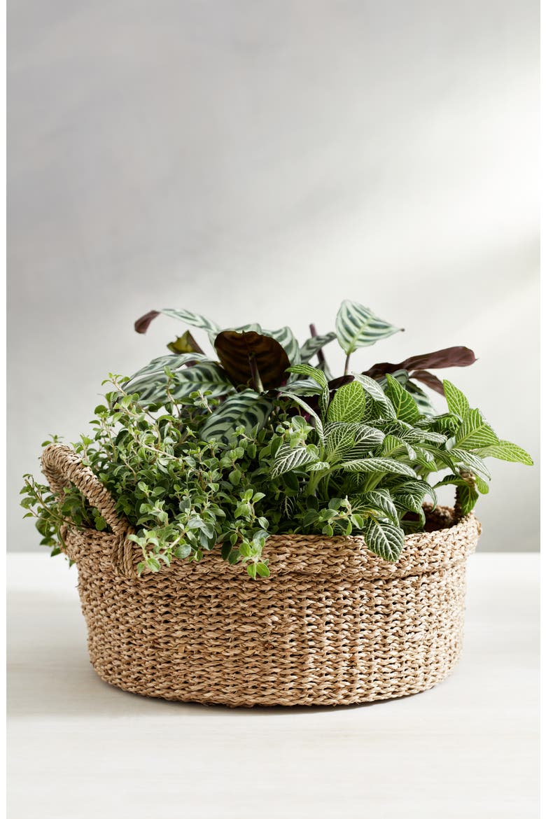 Small Round Seagrass Planter, Main, color, NATURAL