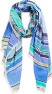Echo Painted Stripe Scarf