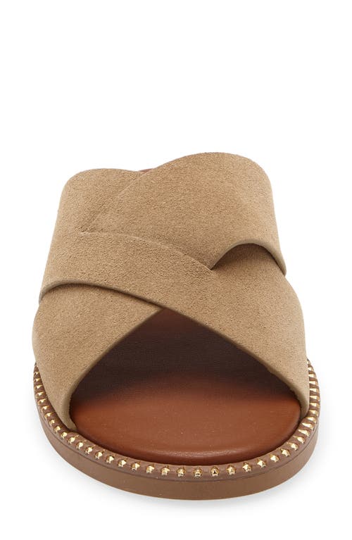 Vivi Blu Guam Slide Sandal In Neutral
