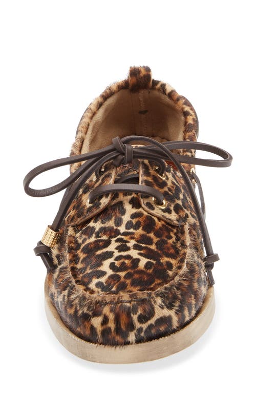 Golden Goose Genuine Calf Hair Boat Shoe In Multi