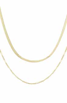 Adornia Set of 2 Assorted Chain Necklaces