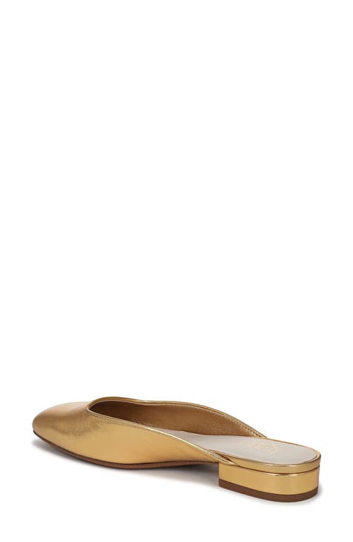 Franco Sarto Dayla Mule