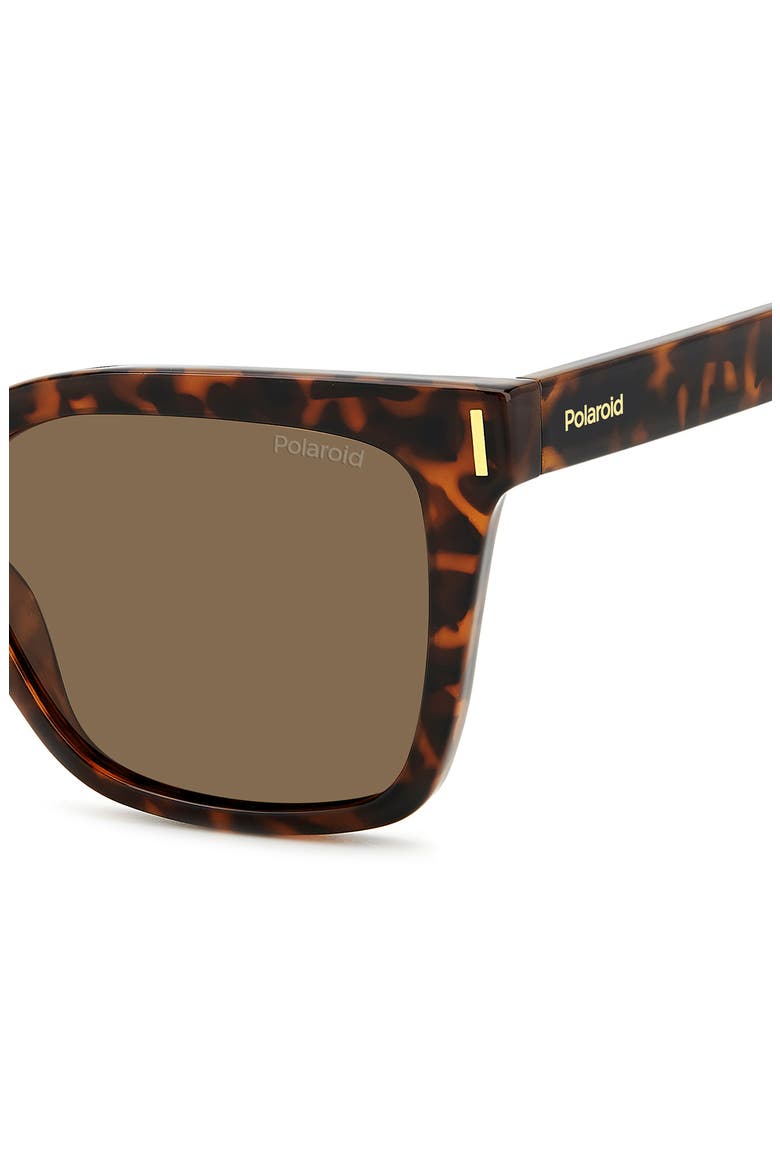54mm Polarized Cat Eye Sunglasses, Alternate, color, HAVANA/ BRONZE POLAR