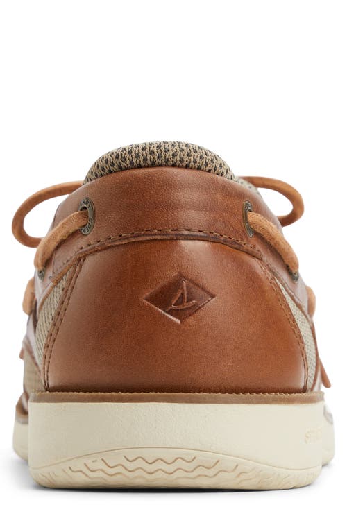 Sperry Surveyor 2-eye Boat Shoe In Brown
