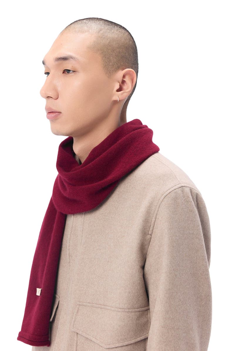 GOBI Mongolian Cashmere Cashmere Jersey Knit scarf, Alternate, color, Bordeaux