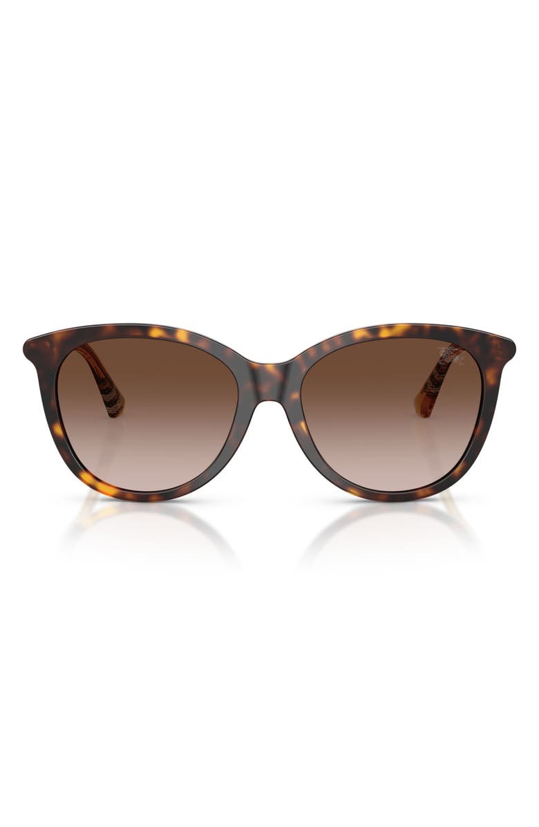 Burberry 55mm Phantos Sunglasses, Main, color, Dark Havana / Brown Gradient