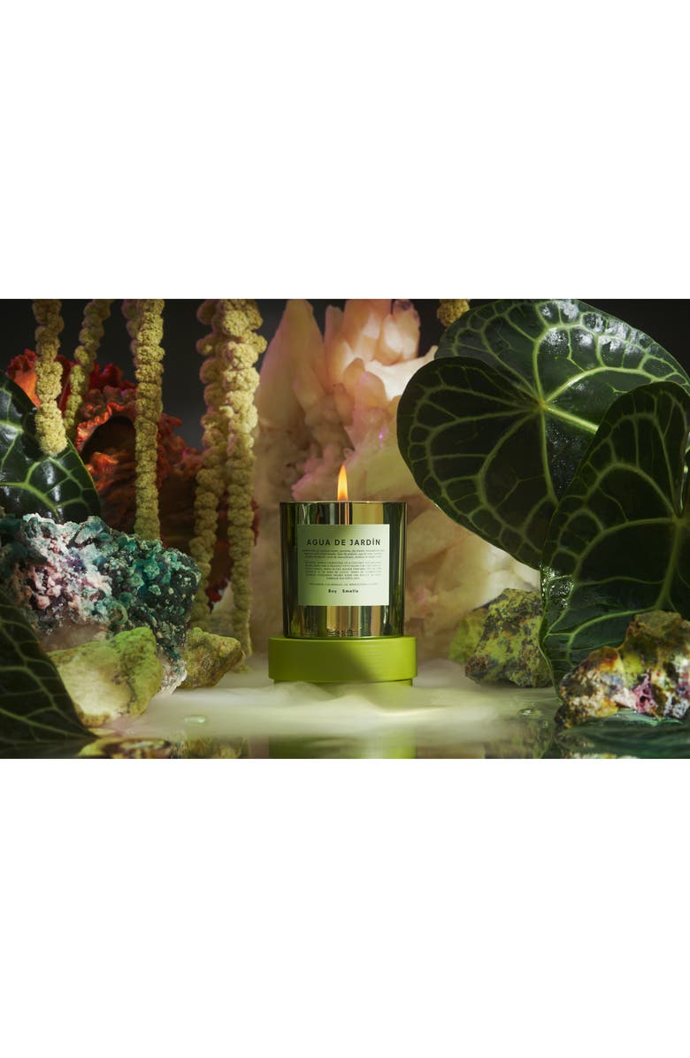 Boy Smells Hypernature Agua de Jardín Scented Candle, Alternate, color, 
