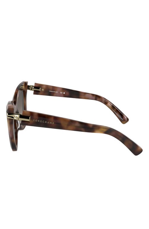 Longchamp Roseau 50mm Gradient Cat Eye Sunglasses In Rose Havana