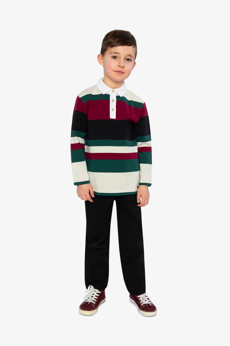 Striped Button Placket Long Sleeve Polo Top, Alternate, color, Blue Striped Red, Green & Grey