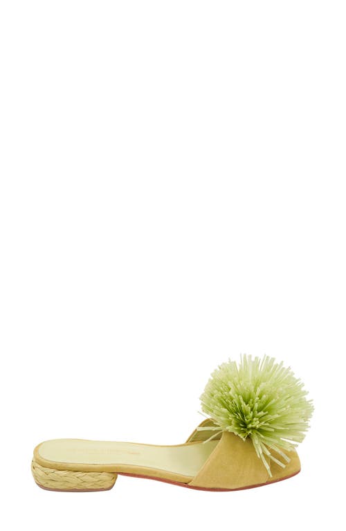 Andre Assous André Assous Rayni Slide Sandal In Pistachio