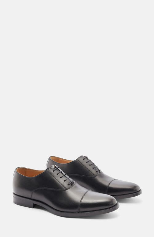 Scarosso Cesare Oxfords