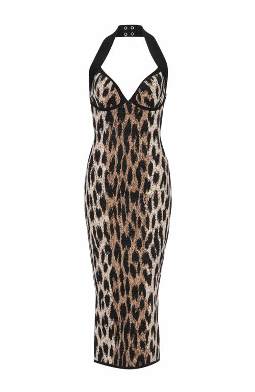 Balmain Halterneck Leopard Print Jacquard Bodycon Dress In Black