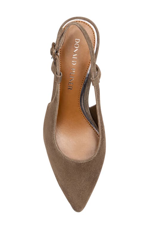 Donald Pliner Song Slingback Pointed Toe Pump In Brown