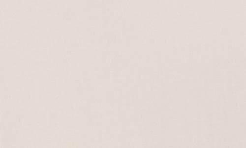 Splendid Padua Short Sleeve Button-up Shirt In Moonstone