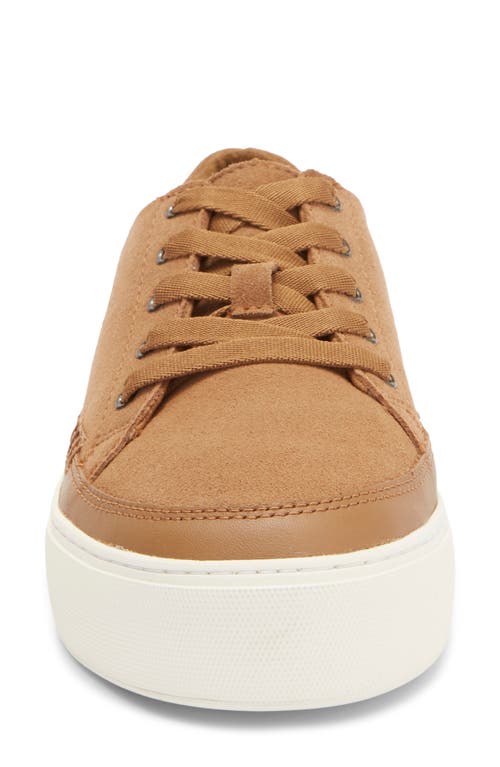 Ugg ® Zilo Platform Sneaker In Chestnut Brown