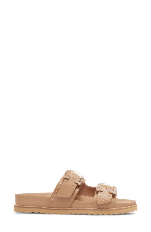 Frankie4 Deon Buckle Sandal In Camel Stud