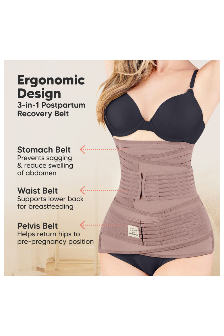 Revive 3-in-1 Postpartum Recovery Support Belt, Alternate, color, Dusty Plum
