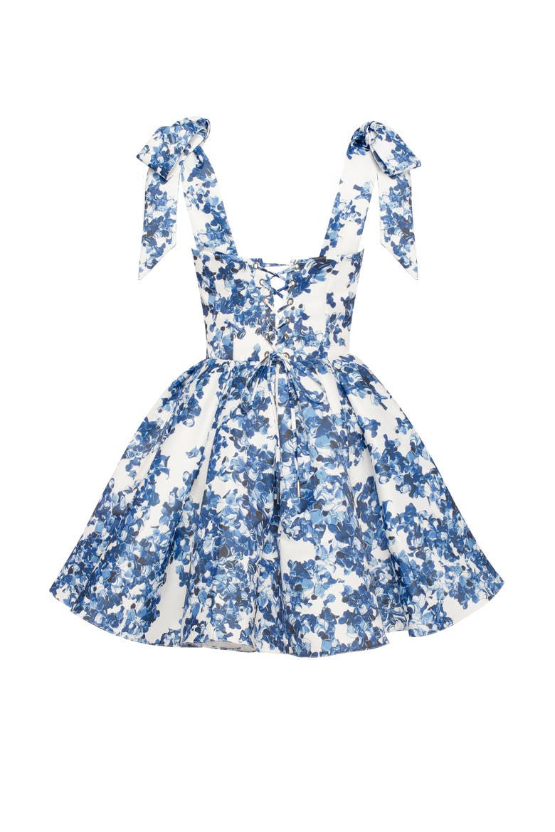 Fitted Bodice A-Line Floral Mini Dress for Cocktail Events, Alternate, color, Blue-Double