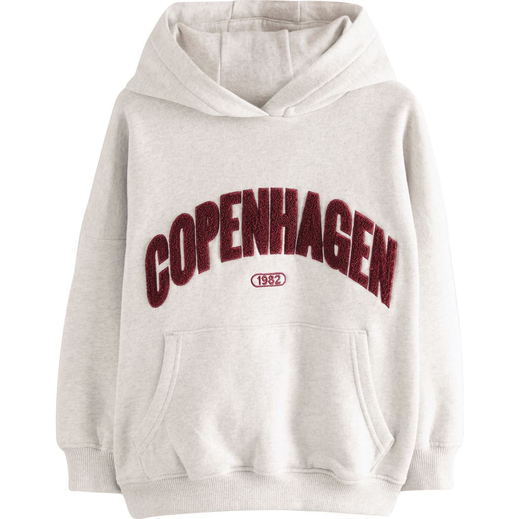 Next Kids' Copenhagen Cotton Blend Hoodie In Gray