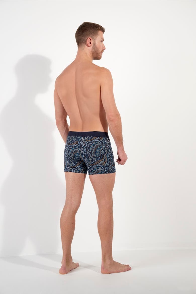 Fontainebleau Boxer Briefs, Alternate, color, Navy Print