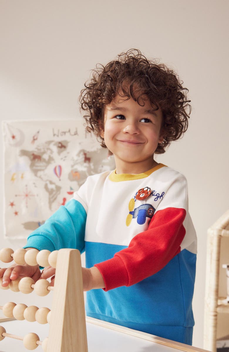 NEXT Kids
 Bear Appliqué Colorblock Cotton Graphic Sweatshirt, Alternate, color, 