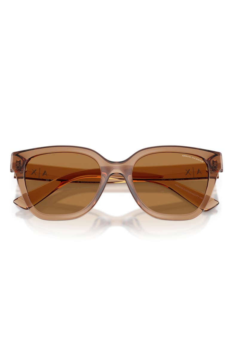 AX Armani Exchange 53mm Cat Eye Sunglasses, Alternate, color, Shiny Brown / Bronze