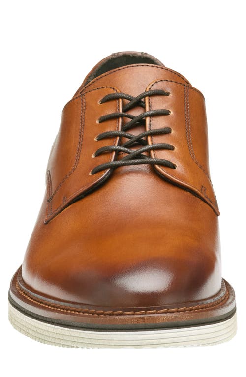 Johnston & Murphy Collection Jenson Plain Toe Derby In Tan European Calfskin