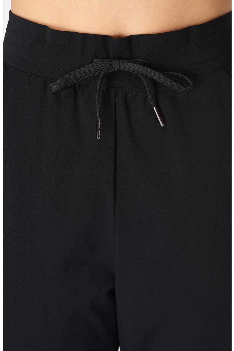 Trekker Water Resistant Hiking Pants, Alternate, color, BLACK