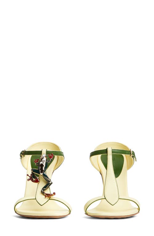 Bottega Veneta Rana Frog Embellished Leather Stiletto Mules In 7187 Camomile/avocado