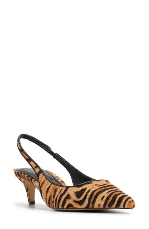 Aldo Leanah Genuine Calf Hair Pointed Toe Pump In Animal Print