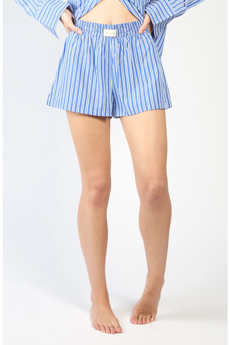 Seaside Boxer Shorts, Main, color, BLUE