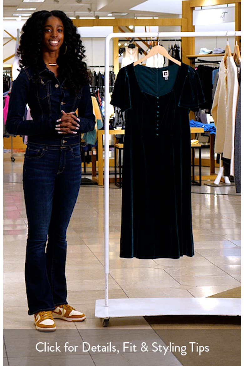Flared Sleeve Velvet Dress video
