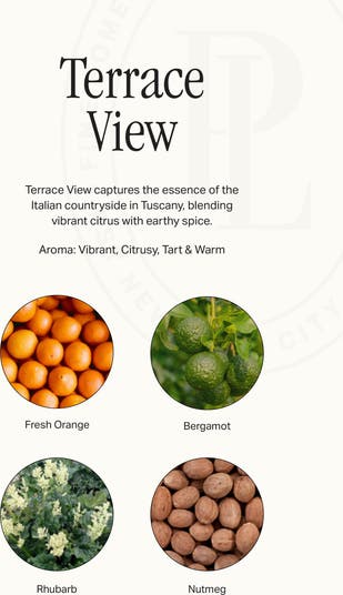 Terrace View Dish Soap