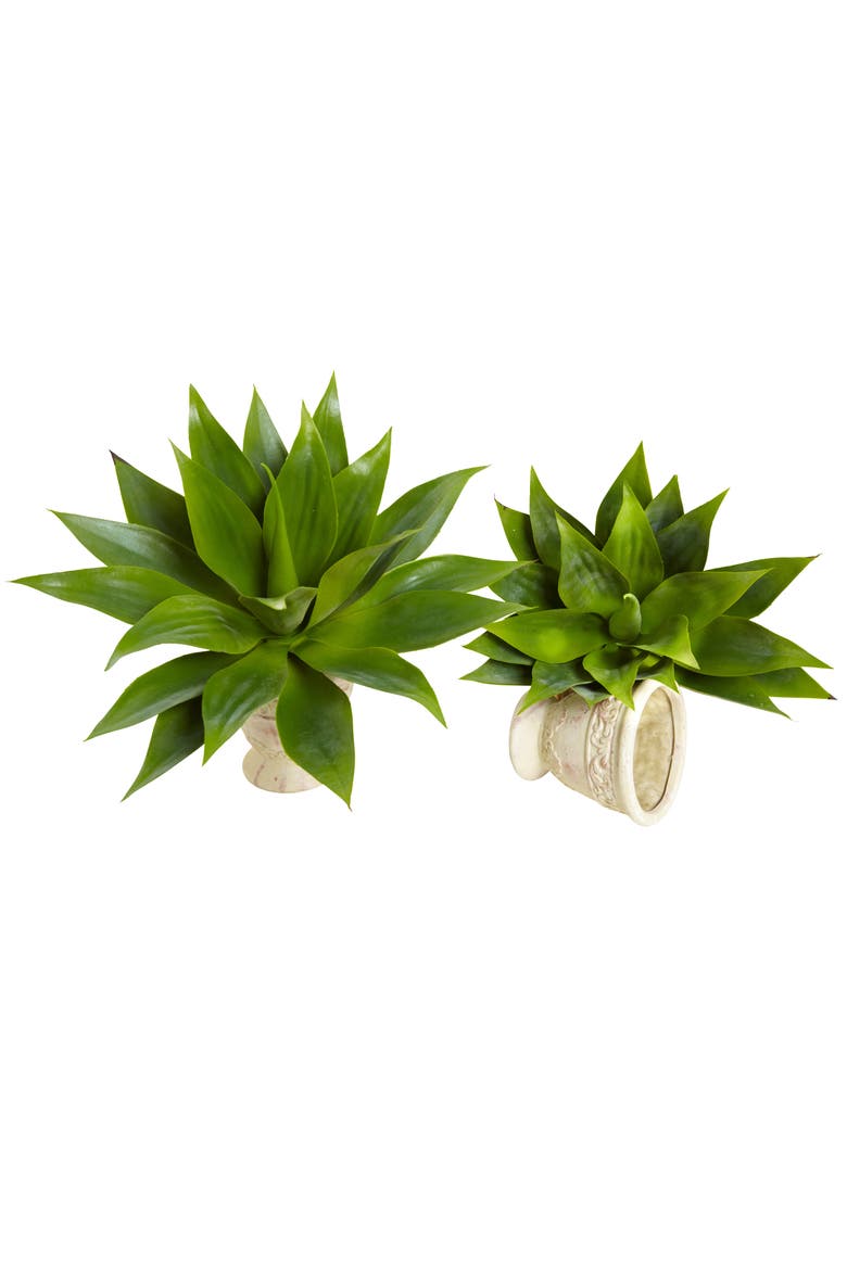 17-in Agave Succulent Plant, Main, color, Green