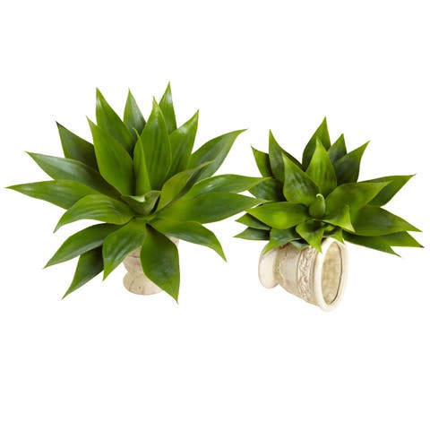 17-in Agave Succulent Plant (Set of 2)