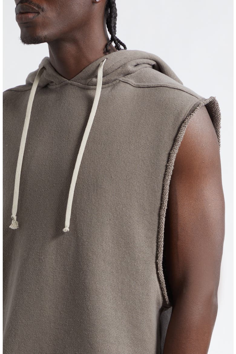 Sleeveless Cotton French Terry Hoodie, Alternate, color, DUST